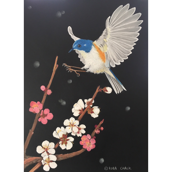 2023年3月『幸せの青い鳥 ルリビタキ』