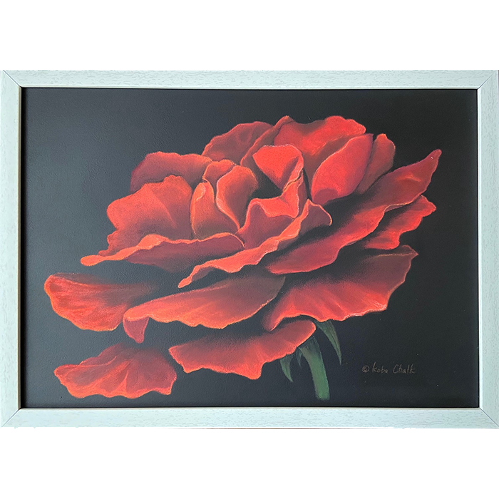 2025年2月／『バレンタインに贈る赤いバラ』