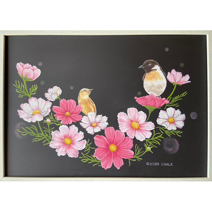 2025年9月／『つがいのノビタキとコスモス』