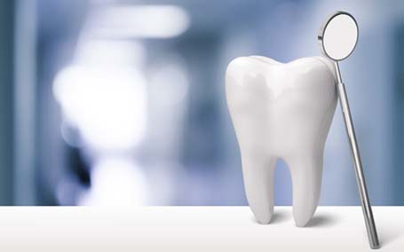 予約とお問合せ